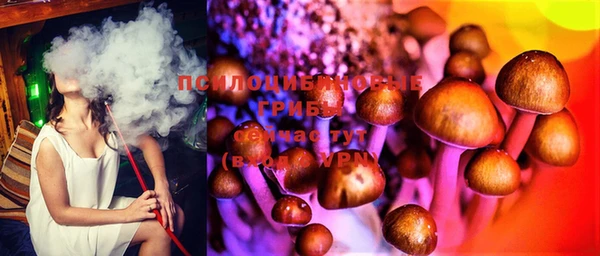 мескалин Касимов