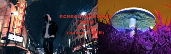 мескалин Касимов